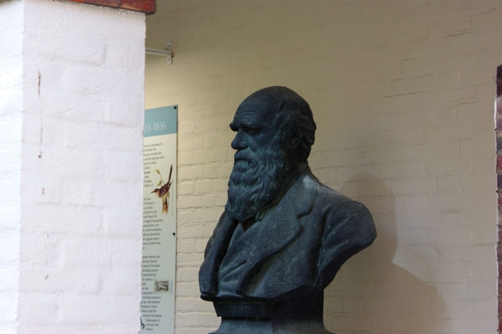 Charles Robert Darwin 達爾文雕像
