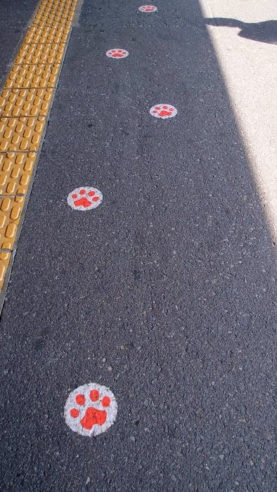 跟著路上的貓腳印到達月台